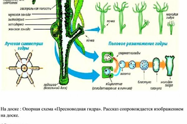 Зеркала тор