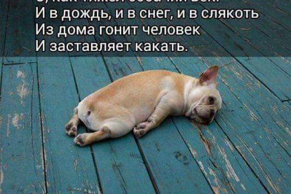 Кракен шоп нарк