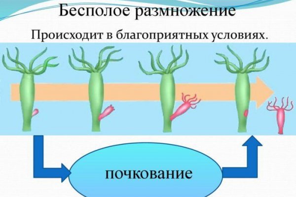 Кракен ссылка kr2link co